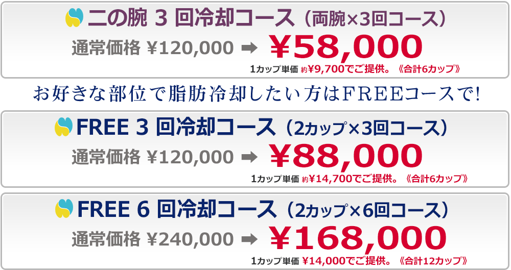 脂肪冷却の価格